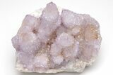 Huge, Cactus Quartz (Amethyst) Crystal Cluster - South Africa #206116-7